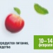 EXHIBITION "PROEXPO-2020"